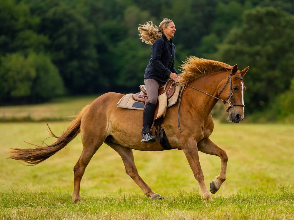 horseback rider
