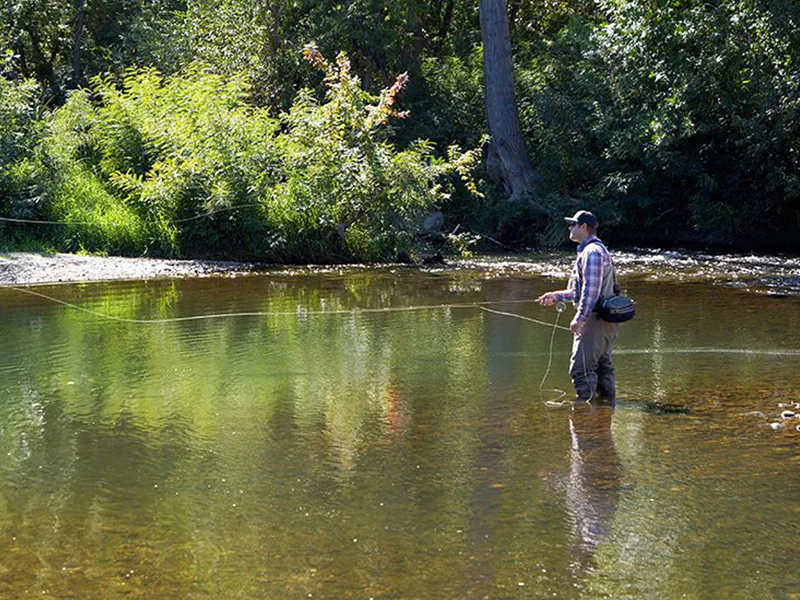 Boise Fishing