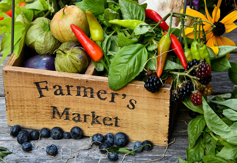 Vegetables in Farmer's market box