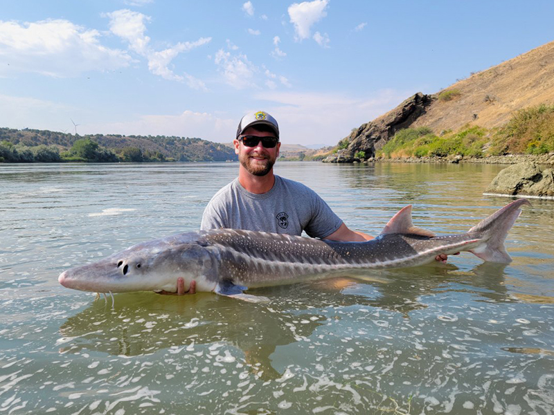 nate white sturgeon snake river