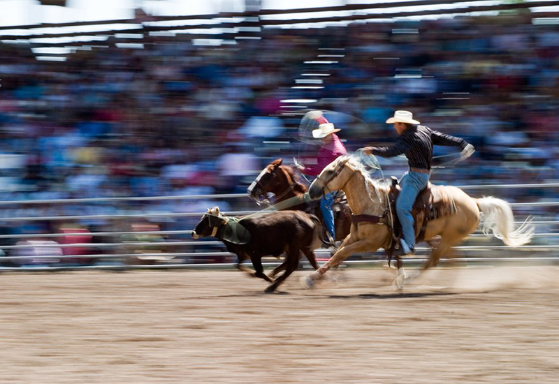 Kuna rodeo