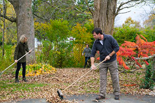 Raking leaves