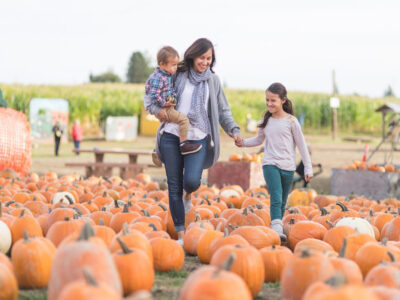 Pumpkin Patches & Corn Mazes