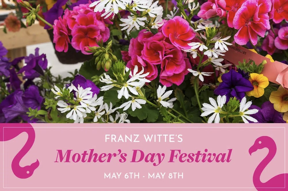 mothers-day-festival