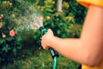 Watering flowers