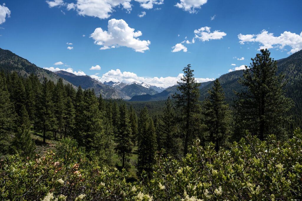 Boise National Forest (Southwest Idaho)
