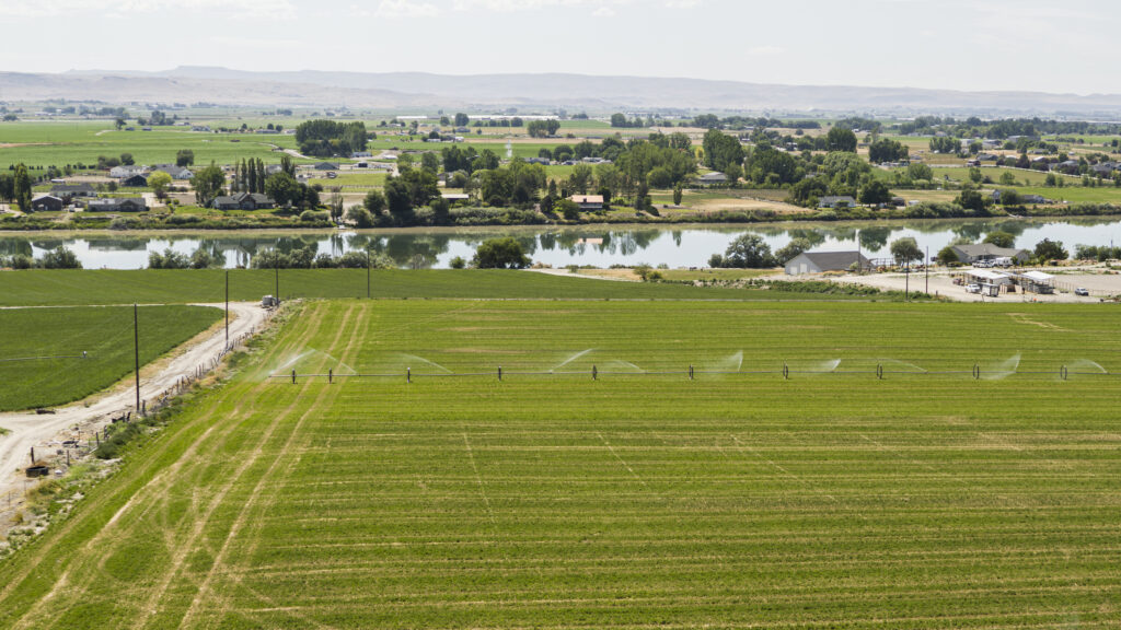 Aerial view of irrigated crop fields with sprinklers operating near Marsing Road in Canyon County, Idaho. Snake River flows through middle of valley with rural homes and farm buildings lining its banks. Green agricultural fields dominate foreground with irrigation system actively watering crops. Rolling hills and mountains form backdrop in distance. Small rural community with scattered buildings visible across middle ground. Dirt access road runs along edge of cultivated field. Scene captured in high angle view during growing season.