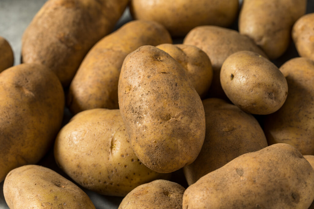 Raw Organic Idaho Russet Potatoes in a Bowl