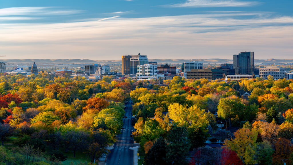 Blanket of autumn trees lead to the Boise skyline
