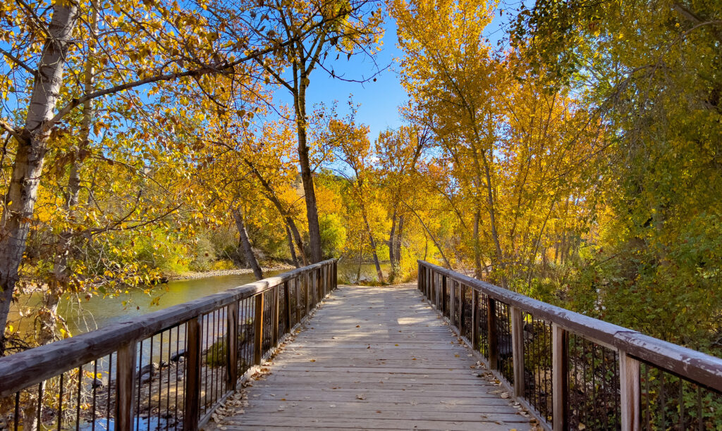 Bridge on the Boise greenbelt in the fall.