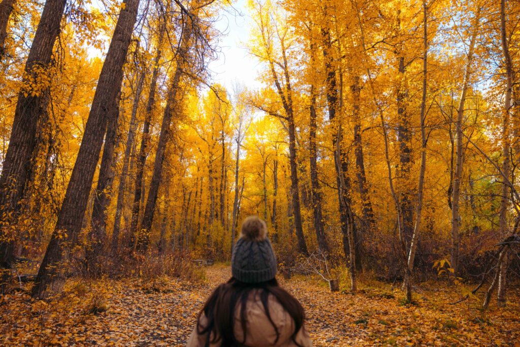 Girl standing on the boise greenbelt looking at fall trees