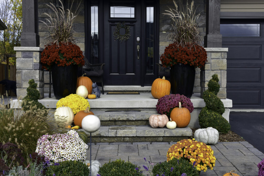 Colourful pumpkins, gourds and mums create a luxury autumn halloween and thanksgiving landscaping decor.