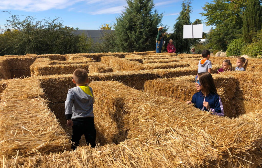 Kids playing in a maze at the Idaho Botanical Gardens